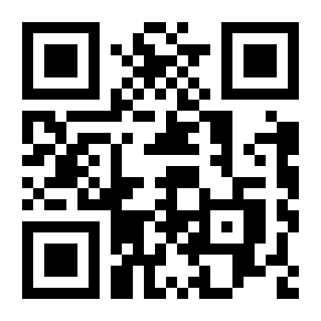 柴油发电机B型喷油泵